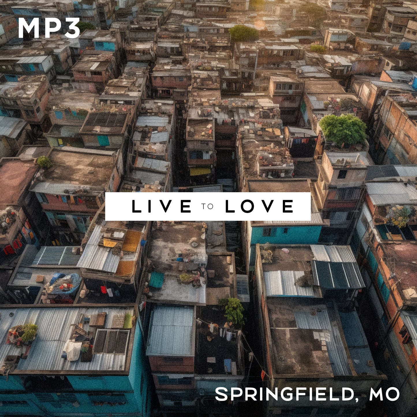 Live to Love: Springfield MP3s